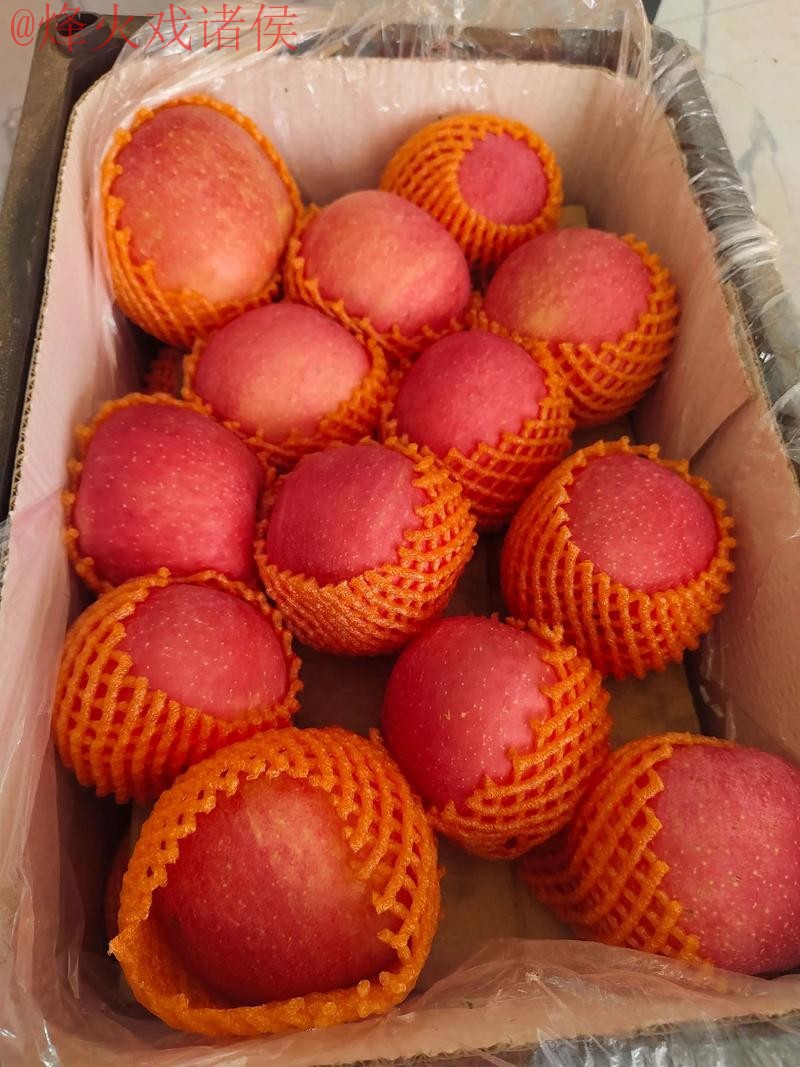 2026世界杯盘口苹果